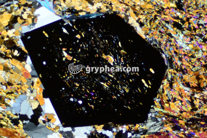 Grenat LPA x10 - gryphea.com